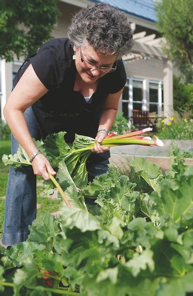 Preserving Summers Bounty VailDaily