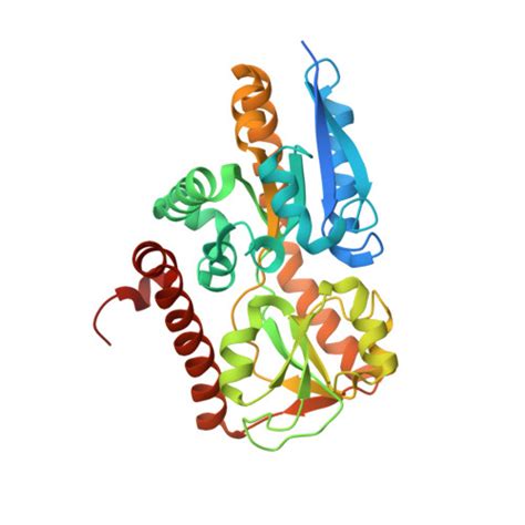 Rcsb Pdb Mnc Crystal Structure Of A Trap Periplasmic Solute Binding