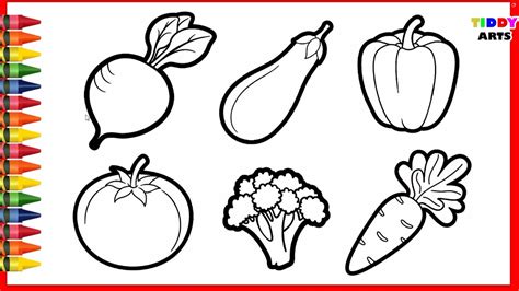 easy vegetables drawing  coloring  kids   draw vegetables