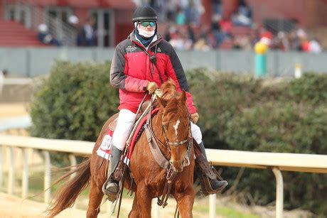 Hot Spring Ar Us Scenery Before Foto De Stock De Contenido Editorial Imagen De Stock