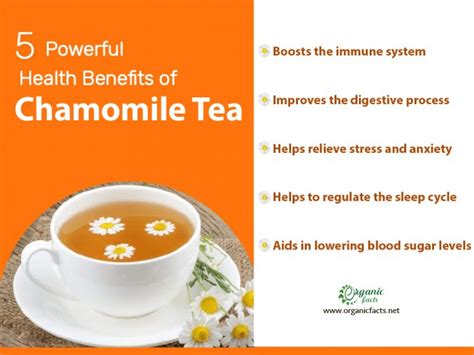 13 Best Benefits of Chamomile Tea | Organic Facts