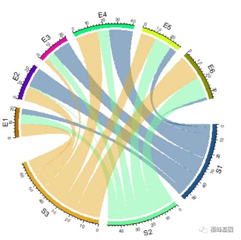 Figdraw 14 Sci 文章绘图之和弦图及文章复现（chord Diagram）chord Diagrams Csdn博客