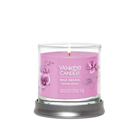 Petit Gobelet Orchidee Sauvage Yankee Candle