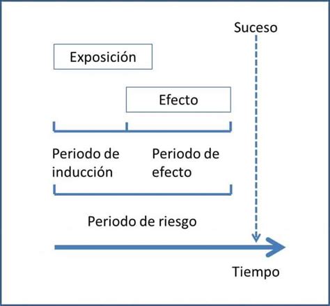 Diseños híbridos Ciencia sin seso locura doble