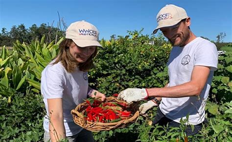 WWOOF Australia | WWOOF – World Wide Opportunities on Organic Farms