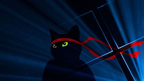 Microsoft Dops Ninja Cat Wallpapers for Anniversary Festivities | Digital Trends