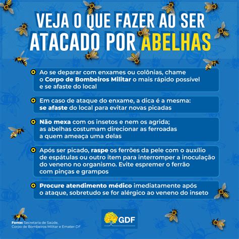 Especialistas Alertam Para Ataques De Abelhas E Orientam Sobre Socorro