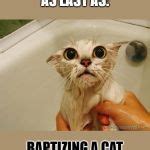 wet cat Meme Generator - Imgflip