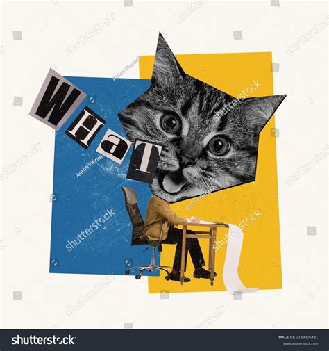 Cats Infographic Over Royalty Free Licensable Stock Photos