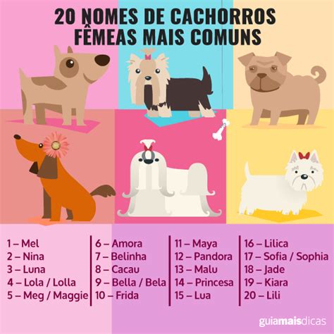 Nomes De Animais Femininos - 20 nomes de cachorros fêmeas | Nomes de cachorro fêmea, Nomes para ...