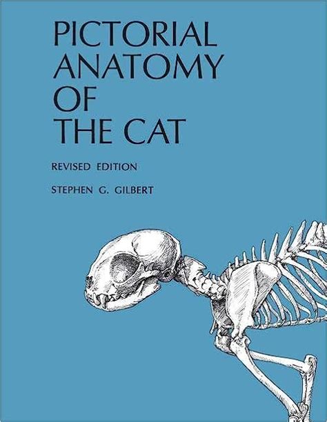 Complete Cat Dissection Guide With Assessment