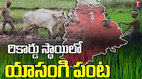 Telangana Agriculture Paddy Development Growth Under Cm Kcr