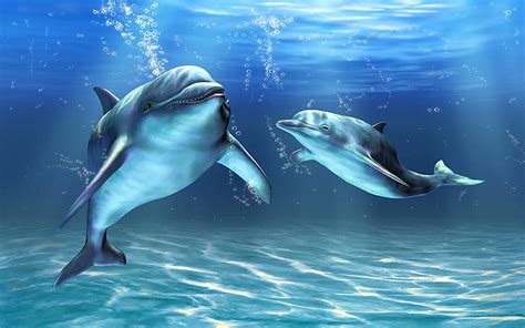 HD wallpaper: dolphin 1920x1200 Animals Dolphins HD Art | Wallpaper Flare