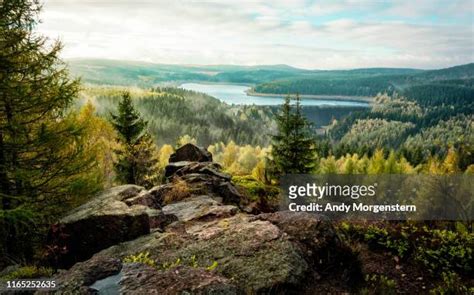 Rock Top View Photos and Premium High Res Pictures - Getty Images