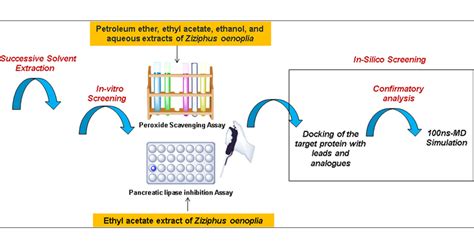 Appraisal Of Pancreatic Lipase Inhibitory Potential Of Ziziphus Oenoplia L Mill Leaves By In