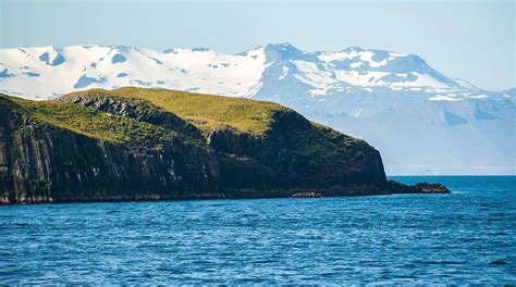 Iceland Fjords: The Best Fjords to Visit During Your Next Trip