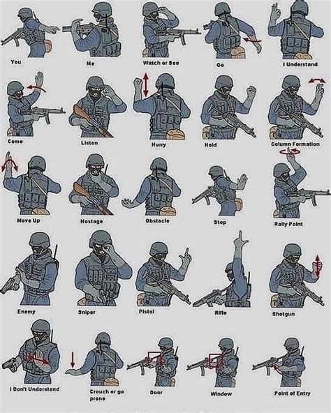 Basic Military Hand Signals ศิลปะการต่อสู้ ภาษามือ ทหาร