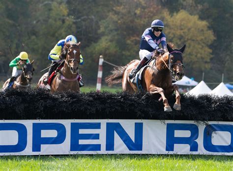 Lonesome Glory & William Entenmann preview - National Steeplechase ...