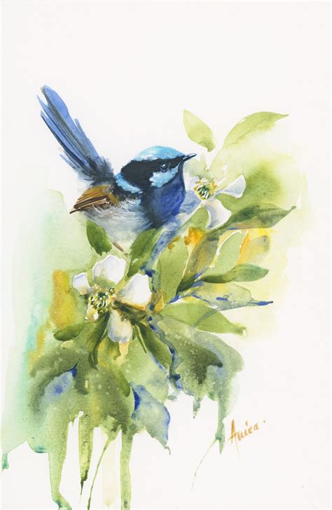 Blue Wren In Bush Blossoms Art Lovers Australia