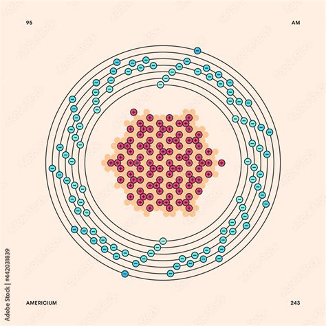 Bohr Model Representation Of The Americium Atom Number 95 And Symbol