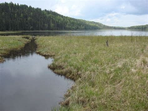 Jackfish Lake (Alberta) - Alchetron, the free social encyclopedia