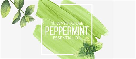 10 Ways To Use Peppermint Essential Oil Lindsey Elmore