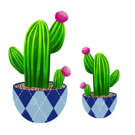 Plant Kaktus Cartoon Cartoon Plant Kaktus Plant Png Transparent