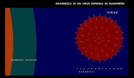 Nanometer | Definition, Symbol & Measurement - Video & Lesson ...