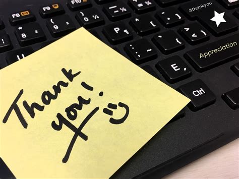 appreciation  essential american profit recovery