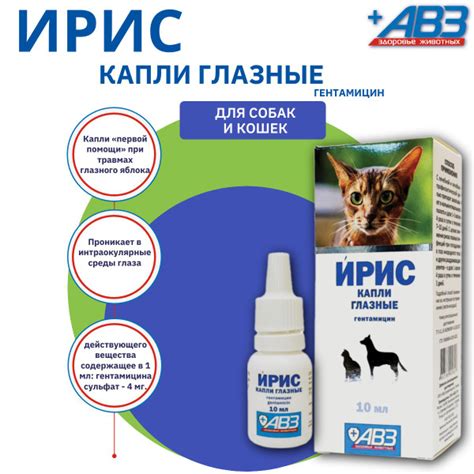 Капли АВЗ Ирис глазные для собак и кошек, антибактериальные 10 мл ...