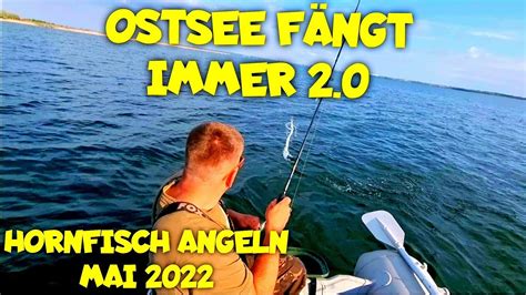 Ostseeangeln Im Mai Auf Hornfisch Mit Erfolg 2 0 YouTube