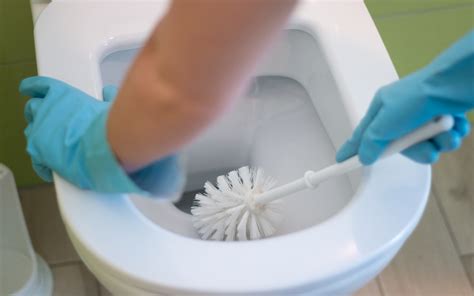 Cleaning Toilet Rings A Comprehensive Guide