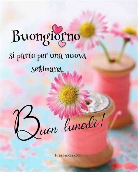 Buongiorno si parte per una nuova settimana Buon lunedì