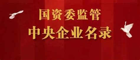 两家央企重磅重组！中央企业数量缩减为97家（内附最新中央企业名录）澎湃号·政务澎湃新闻 The Paper