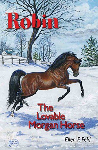 Robin The Lovable Morgan Horse Morgan Horse Series Book