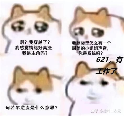 啊，不行了，这猫猫meme图太可爱了 知乎