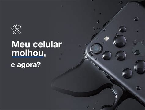 Meu celular caiu na água o que fazer Suporte Smart BH