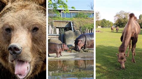 Das sind beliebtesten Zoos und Wildparks in Baden Württemberg