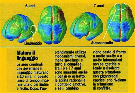 Didattica e Cervello Linsegnamento con modalità sinistra e quello con