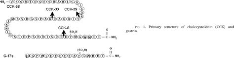 Figure 1 from Cholecystokinin and gastrin receptors. | Semantic Scholar