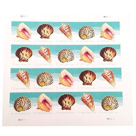 Usps Seashells Postcard Stamps Sheet Of 20 Postcard Postage