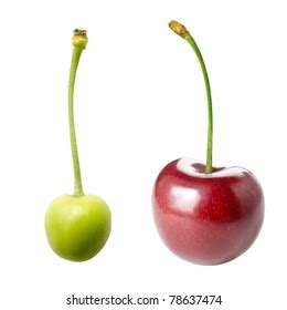 99,204 Unripe Fruit Images, Stock Photos & Vectors | Shutterstock