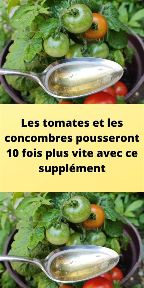 Les Tomates Et Les Concombres Pousseront Fois Plus Vite Avec Ce