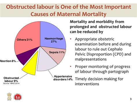 Ppt Prolonged And Obstructed Labour Powerpoint Presentation Free Download Id8792676