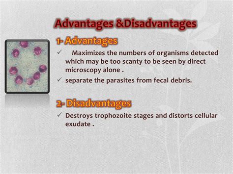 Ppt Concentration Methods Of Fecal Parasites Powerpoint Presentation Id1961542