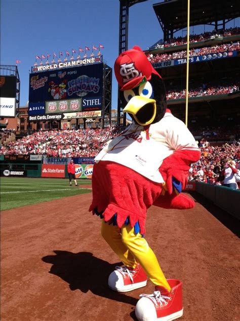 Fredbird, St. Louis Cardinals mascot. | St louis cardinals baseball ...