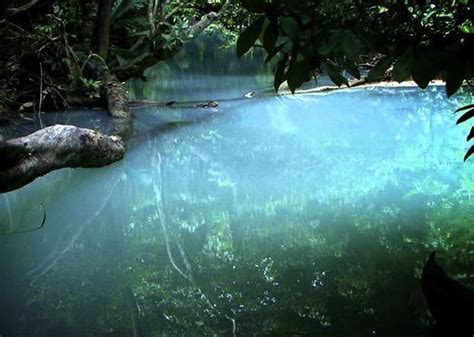 Reserva De La Biosfera Pantanos De Centla Tabasco Mexico Vacation