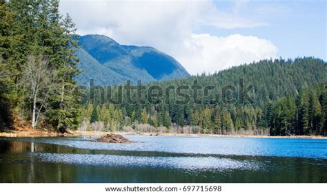 Beaver Dam Lake Minnekhada Park Coquitlam Stock Photo 697715698