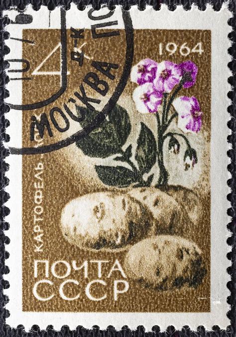 Soviet Union Circa Cancelled Postage Stamp Printed By Ussr