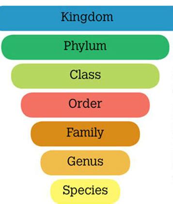 Classification Systems - Thermophiles